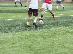 向上社交课,明星投身教,培热潮之谜,ebpay,钱包官网,ebpay下载,ebpay官网