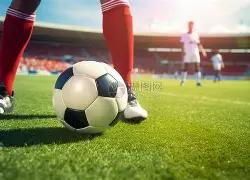 体育盛典盛,大明星,郑钦文张雨,ebpay,钱包官网,ebpay下载,ebpay官网