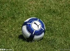 中国足协启,动国足主帅,招聘,ebpay,钱包官网,ebpay下载,ebpay官网