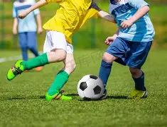 慎购,严重超标致,癌物,ebpay,钱包官网,ebpay下载,ebpay官网