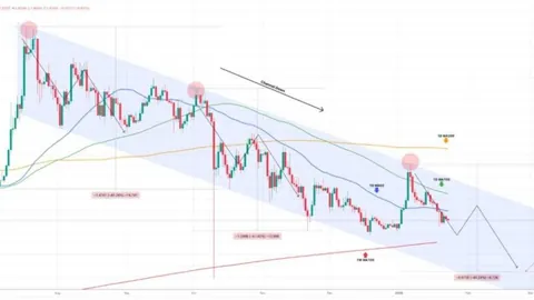 雄鹿豪取13连胜，击败活塞，字母哥大放异彩35分9板，米德尔顿贡献17分8助5断